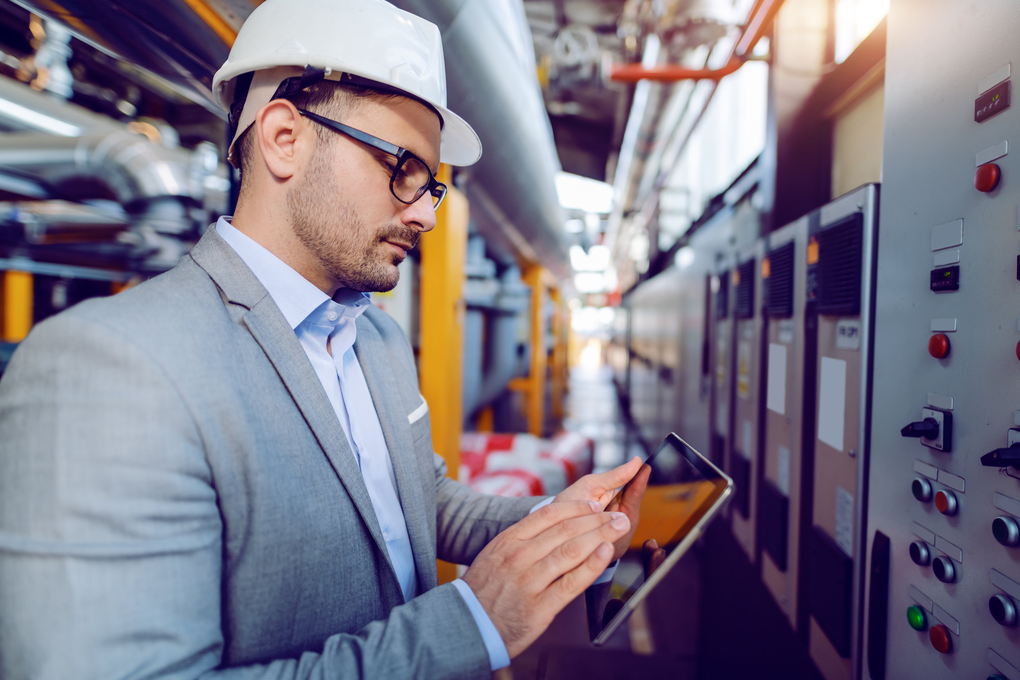 Complex-EHS-software-process