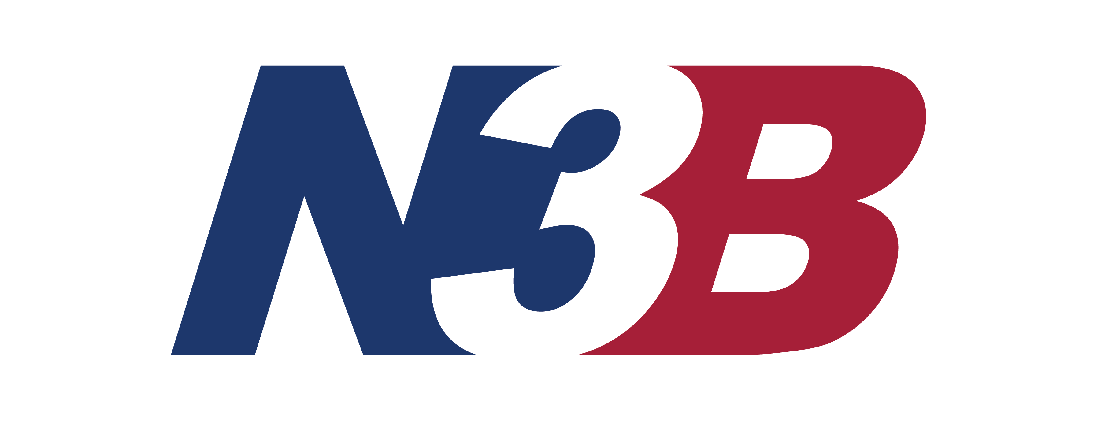 N3B