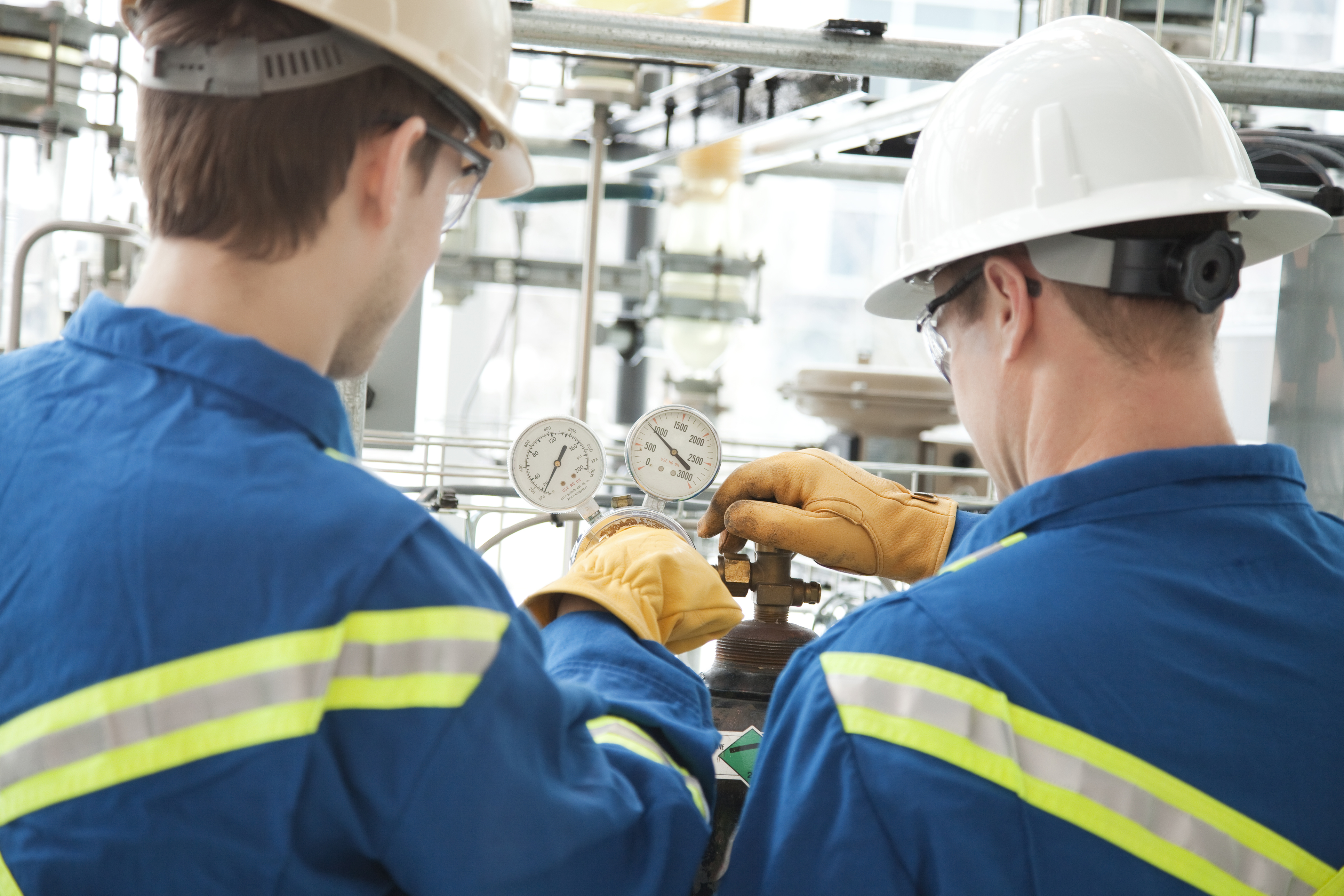 Asset Management and the Plan-Do-Check-Adjust Cycle